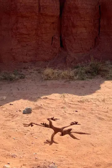 Poster to the movie "Coyote vs. Acme" #627562
