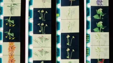 Backdrop to the movie "Lover, Lovers, Loving, Love" #1142701