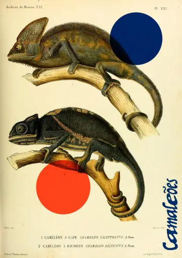 Poster to the movie "Chameleons" #1167066