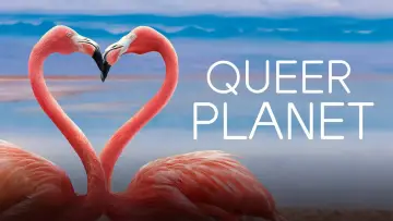 Backdrop to the movie "Queer Planet" #1122479
