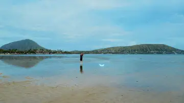 Backdrop to the movie "Songs of Love from Hawaii" #1114034