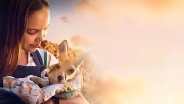 Backdrop to the movie "Kangaroo" #534584