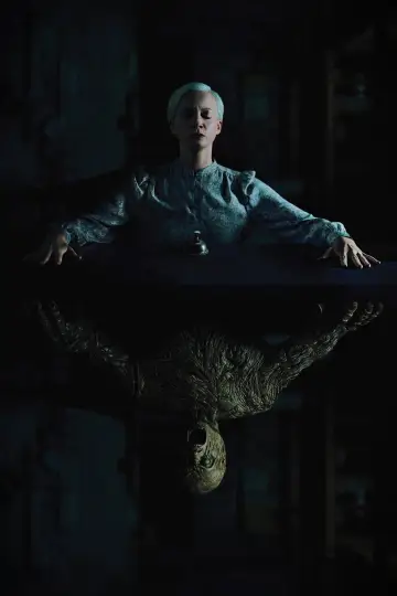 Poster to the movie "Oddity" #627500