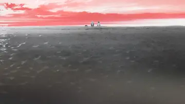 Backdrop to the movie "Chainsaw Man - The Movie: Reze Arc" #910678