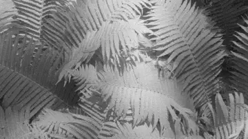 Backdrop to the movie "Vibrant Matter" #789090
