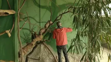 Backdrop to the movie "As far as the world reaches" #465326