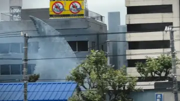 Backdrop to the movie "Hotspring Sharkattack" #679626