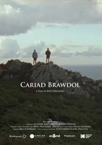 Poster to the movie "Cariad Brawdol" #192157