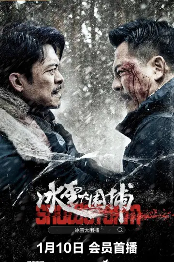 Snowstorm poster