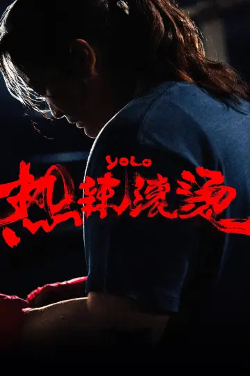 Yolo poster