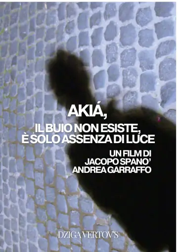 Poster to the movie "Le linee dell