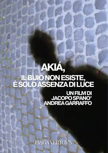 Poster to the movie "Le linee dell