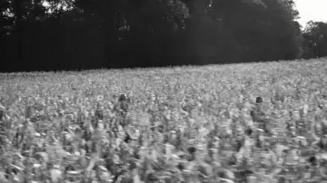 Backdrop to the movie "Springsteen: Deliver Me from Nowhere" #550900