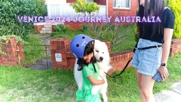 Backdrop to the movie "Venice 2024 Journey Australia" #1011473