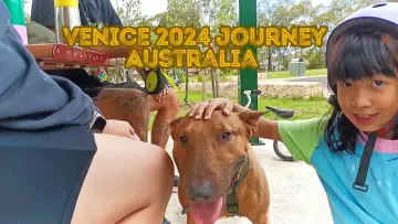 Backdrop to the movie "Venice 2024 Journey Australia" #1011474