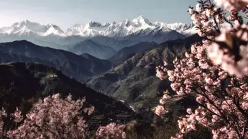 Backdrop to the movie "The Fable" #783270