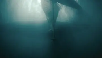 Backdrop to the movie "Untitled Jurassic World Movie" #511847