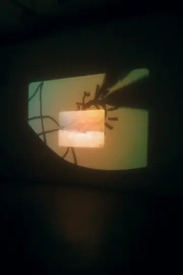 A Conversation with the Sun (Installation)