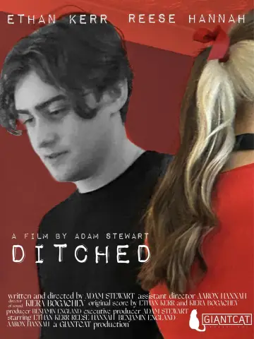 Poster to the movie "Ditched" #480124