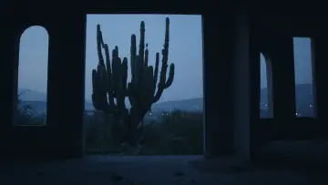Backdrop to the movie "Night Of The Coyotes" #1015637