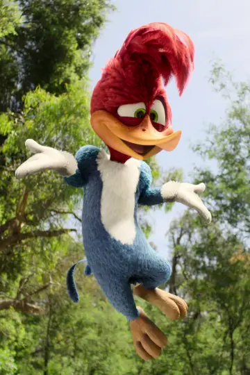Poster to the movie "Woody Woodpecker Goes to Camp" #426912