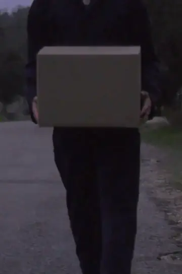 Delivery poster
