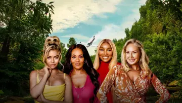 Backdrop to the movie "Hunting Housewives" #706125