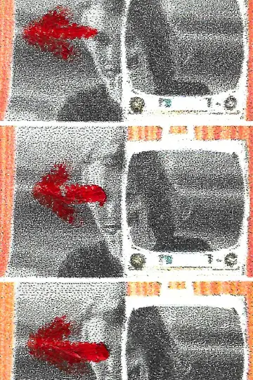 Poster to the movie "My Glances Went Like Gleaners" #985164