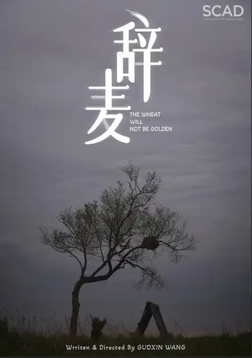 Poster to the movie "The Wheat Will Not Be Golden" #351788