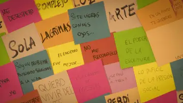 Backdrop to the movie "PALOMA" #356219