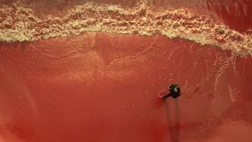 Backdrop to the movie "Decoded" #679584