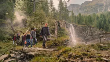 Backdrop to the movie "Woodwalkers" #571833
