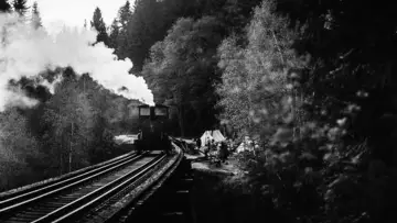 Backdrop to the movie "Train Dreams" #1178941
