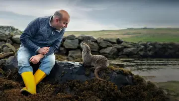 Backdrop to the movie "Billy & Molly: An Otter Love Story" #1015071