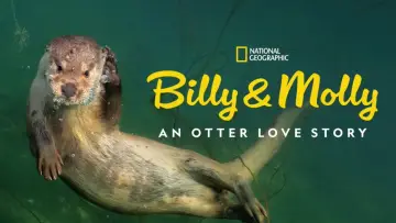 Backdrop to the movie "Billy & Molly: An Otter Love Story" #1015075
