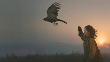 Backdrop to the movie "H Is for Hawk" #1525448