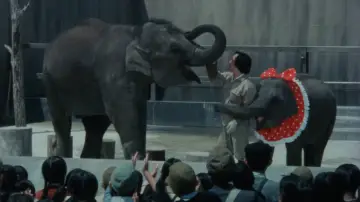 Baby Elephant Story: The angel who descended to earth poster