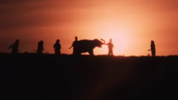 Backdrop to the movie "Baby Elephant Story: The angel who descended to earth" #1621110