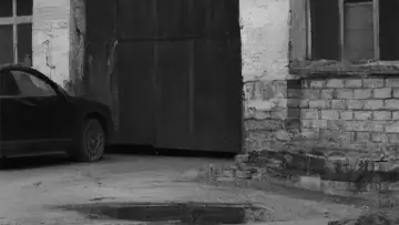 Backdrop to the movie "Abandoned Betrayal" #971505