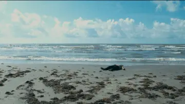 Backdrop to the movie "OVERCOAT" #966886