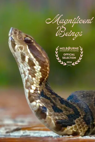 Poster to the movie "Magnificent Beings" #1015944