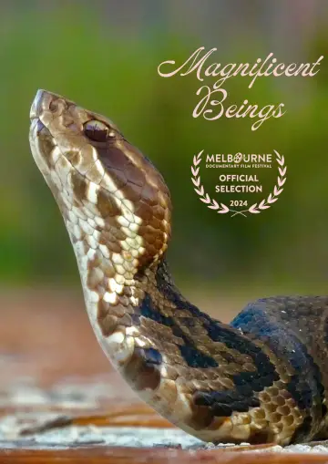 Poster to the movie "Magnificent Beings" #1015945