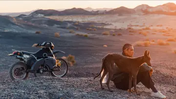 Backdrop to the movie "Black Dog" #600685