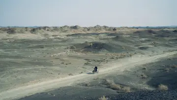 Backdrop to the movie "Black Dog" #600706