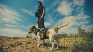Backdrop to the movie "Us, Our Pets and the War" #1055350