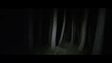 Backdrop to the movie "Don