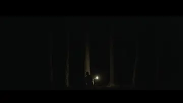 Backdrop to the movie "Don