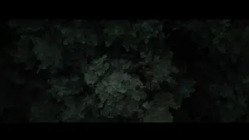 Backdrop to the movie "Don