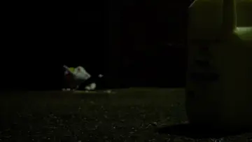 Backdrop to the movie "Death of a Salesman: A DELTARUNE Short FIlm" #739608