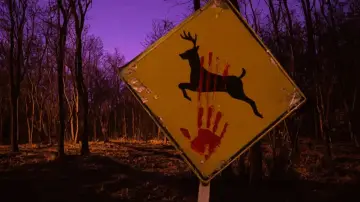 Backdrop to the movie "Bampire" #1164295